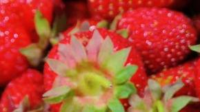 Fresas-pixabay-pexels