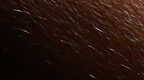 Gadgets para detectar coronavirus