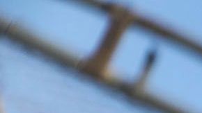 Las restricciones se extiende al 21 de julio.