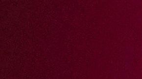 Arnold Schwarzenegger.