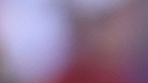 Vadillo ocuparía la plaza de Renato Ibarra.