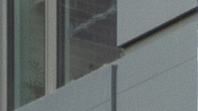 Target pandemia coronavirus salario 19 de junio Brian Cornell Juneteenth Galveston Texas afroamericanos esclavitud