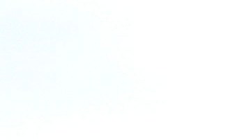 Alex Bowman, conductor de #88 Nationwide Chevrolet, en una imagen de archivo junto a fanáticos en el circuito NASCAR de Homestead, al sur de Miami.