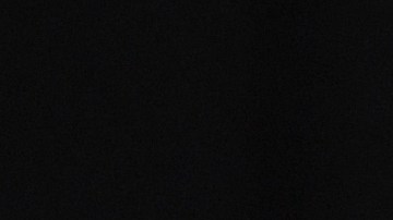 Roger Federer dejará el 2020 con apenas un torneo y seis partidos jugados.