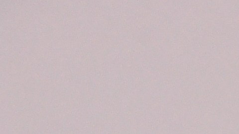 Justin y Hailey Bieber