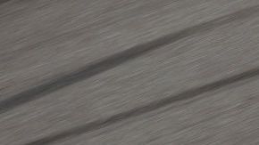 Ray Ciccarelli maneja el camión #49, nunca ha ganado una carrera.