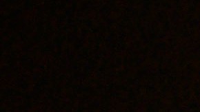 Tanto progenitores pobres como de altos ingresos dedican el mismo tiempo a la enseñanza.