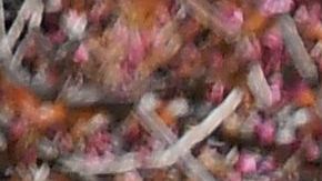 Víctimas del coronavirus.