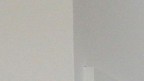 Científico de datos trabajo home office actuario Ingeniero Arquitecto coronavirus COVID-19