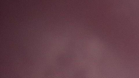 Ley HEROES coronavirus Donald Trump Nancy Pelosi desempleo trabajadores apoyo Senado Cámara de Representantes