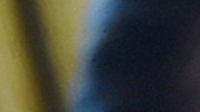 Enviar más dinero a los contribuyentes podría convenir electoralmente a Trump.