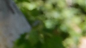 Muchas personas tienen problemas para pagar sus alquileres.