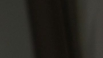 Fauci y el presidente hablaban con la prensa casi a diario al inicio de la crisis sanitaria.