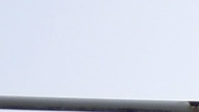 Las gradas del estadio Ellan Road dieron cabida a una foto del terrorista Osama Bin Laden.