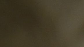 Mike Pence instó a dar la imagen de que se está reabriendo el país con seguridad.