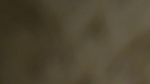 Mike Pence instó a dar la imagen de que se está reabriendo el país con seguridad.