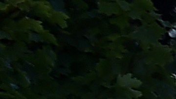 Miembros de la policía militar tienen un perímetro cerca de la Casa Blanca, mientras continúan las protestas por el asesinato de George Floyd.