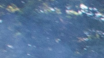 Los latinos son los segundos que más mueren a manos de la policía.