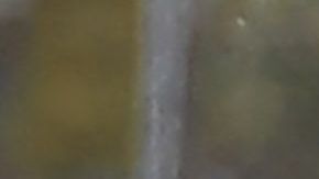 Saqueos en Van Nuys comenzaron mientras manifestantes protestaban pacíficamente.