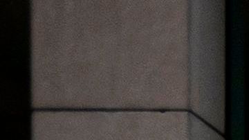 Microsoft tiendas cierre economía coronavirus