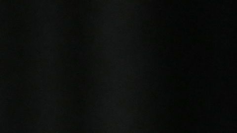 Ayuda económica Senado trabajadores Kamala Harris propuesta legisladores desempleo ingresos