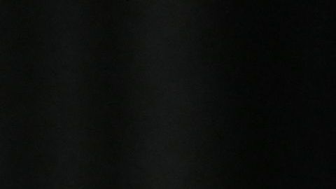 Ayuda económica Senado trabajadores Kamala Harris propuesta legisladores desempleo ingresos