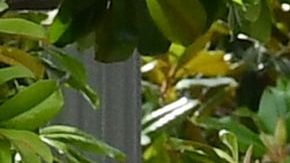 En memoria de George Floyd