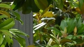 En memoria de George Floyd