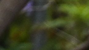 Protesta por GEorge Floyd en Los Ángeles