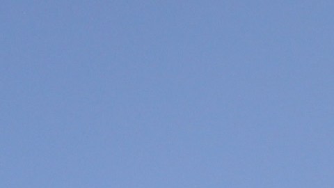 El repunte del coronavirus complica el escenario para el regreso a los diamantes.