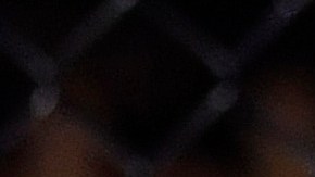 Cody Garbrandt y Raphael Assuncao