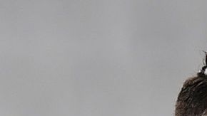 Cristiano Ronaldo en un partido con la Juventus.