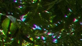 Muerte de Robert Fuller en Palmdale