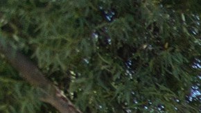 Alguaciles bloquean una protesta por la muerte de Robert Fuller en Palmdale. (Getty Images)