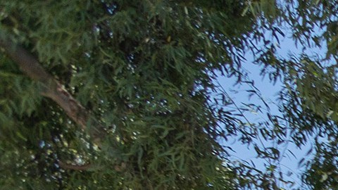 Alguaciles bloquean una protesta por la muerte de Robert Fuller en Palmdale. (Getty Images)