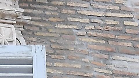 Papa Francisco Vaticano Cambio Climático Carbono combustibles contaminación coronavirus Laudato Si medio ambiente fósiles