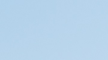 Los manifestantes pedían la renuncia de la alcaldesa de St. Louis, Missouri.