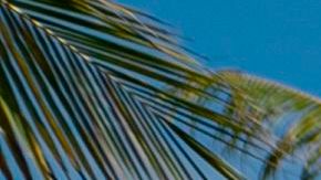 Ciclistas paseando en la emblemática avenida de Ocean Drive en Miami Beach.