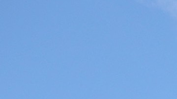 ayuda económica coronavirus cheque IRS dinero EIP cheques de estímulo pagos hogares herramienta encuesta Newamerica veteranos Seguro Social dependientes