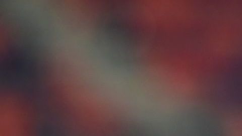 Cristiano Ronaldo lamentándose tras una falla ante el Bolonia.