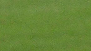 Lionel Messi lamentándose.