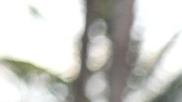 Se han extremado las precauciones en Miami, donde se están dando más casos.