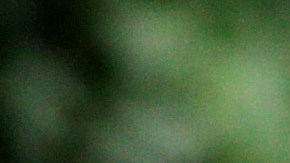 Apple iPads tarjeta de crédito iPads Macs monitor XDR AirPods tarjeta de crédito intereses Tim Cook