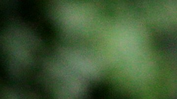 Apple iPads tarjeta de crédito iPads Macs monitor XDR AirPods tarjeta de crédito intereses Tim Cook