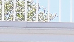 Entrada a una tienda Pier 1.