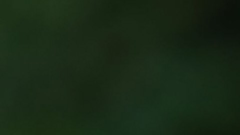 El mexicano Abraham Ancer volvió a sobresalir en el mejor golf del mundo.