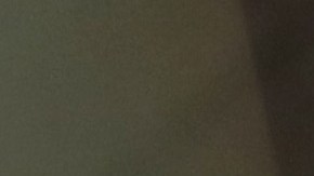 Elecciones primarias en NY