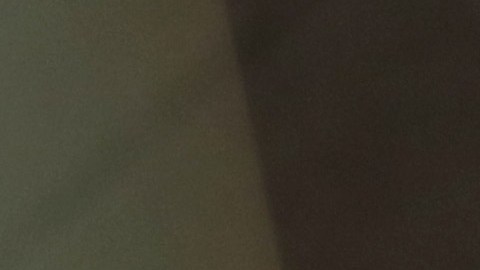 Elecciones primarias en NY