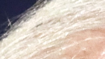 Biden critica a Trump en un momento de baja aprobación para el presidente.