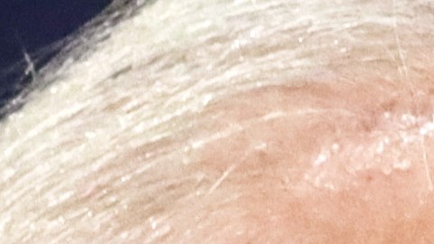 Biden critica a Trump en un momento de baja aprobación para el presidente.